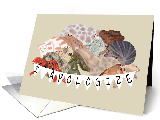 Funny Hermit Crab Apology, I'm Sorry I Snapped at You card (1468636)