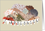 Funny Hermit Crab Apology, I’m Sorry I Snapped at You card