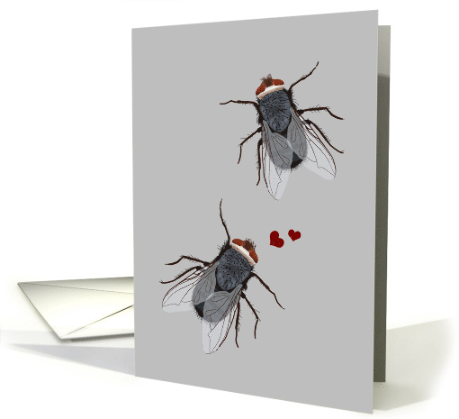 Funny Fly Anniversary Card for Spouse card (1481522)