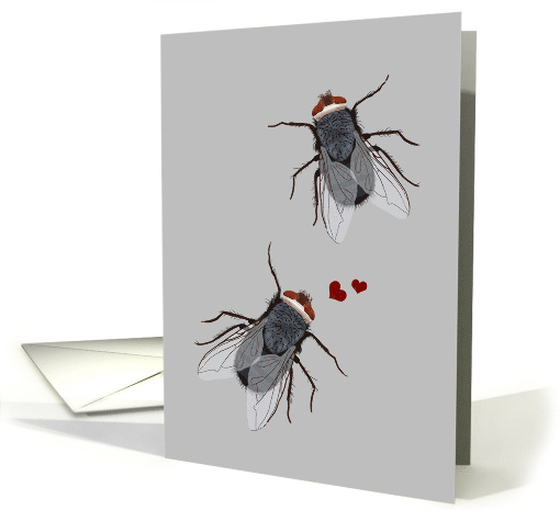 Funny Fly Valentine's Day card (1481550)