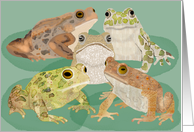 I Toadally Missed Your Birthday card