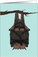 New Twin Babies Congratulations, Bats Hanging on Branch Together card