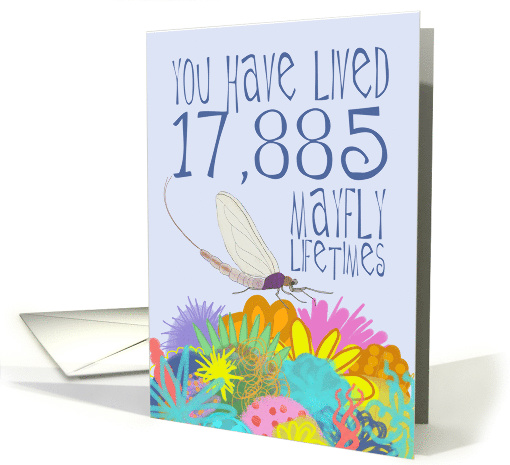 Mayfly 49th Birthday card (1531538)