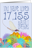 Mayfly 47th Birthday card