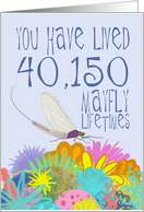 Mayfly 110th Birthday card