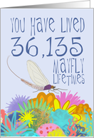 Mayfly 99th Birthday card