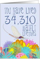 Mayfly 94th Birthday card