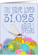 Mayfly 85th Birthday card