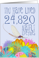 Mayfly 68th Birthday card