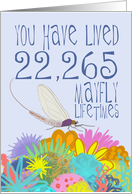 Mayfly 61st Birthday card