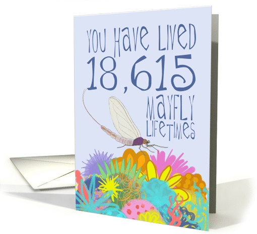 Mayfly 51st Birthday card (1532924)