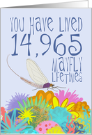 Mayfly 41st Birthday card