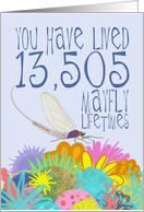 Mayfly 37th Birthday card