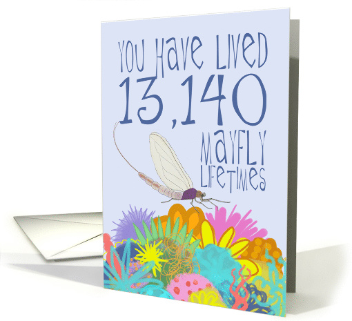 Mayfly 36th Birthday card (1533240)