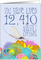 Mayfly 34th Birthday card