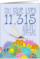 Mayfly 31st Birthday card