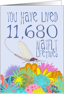 Mayfly 32nd Birthday card