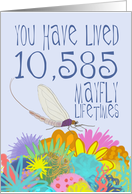 Mayfly 29th Birthday card