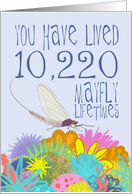 Mayfly 28th Birthday card