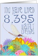 Mayfly 23rd Birthday card