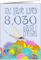 Mayfly 22nd Birthday card