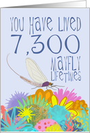 Mayfly 20th Birthday card