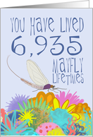 Mayfly 19th Birthday card