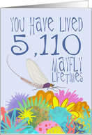 Mayfly 14th Birthday card