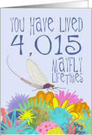 Mayfly 11th Birthday card