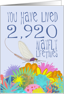Mayfly 8th Birthday card