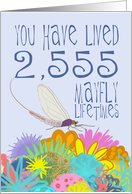 Mayfly 7th Birthday card