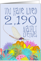 Mayfly 6th Birthday card