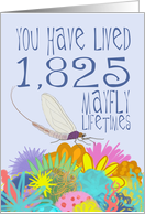 Mayfly 5th Birthday card
