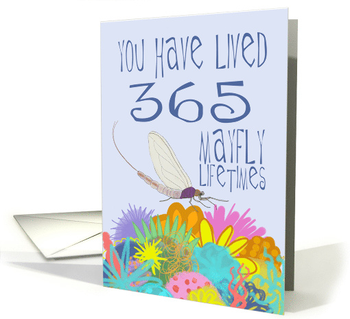 Mayfly 1st Birthday card (1535718)