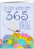 1 Year Work Anniversary in Mayfly Years card