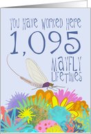 3 Year Work Anniversary in Mayfly Years card