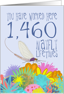 4 Year Work Anniversary in Mayfly Years card