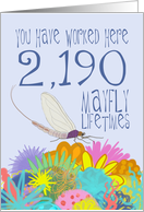 6 Year Work Anniversary in Mayfly Years card