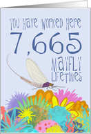 21 Year Work Anniversary in Mayfly Years card