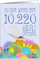 28 Year Work Anniversary in Mayfly Years card