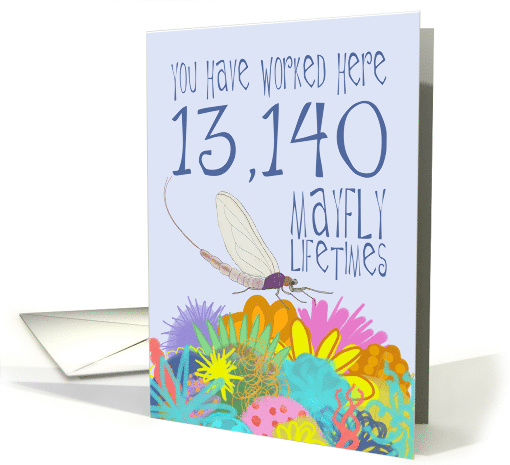 36 Year Work Anniversary in Mayfly Years card (1539364)