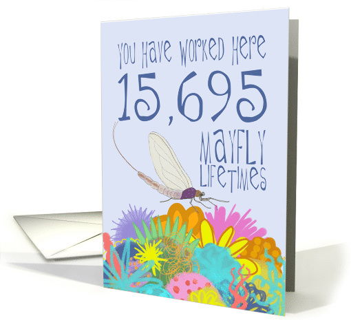 43 Year Work Anniversary in Mayfly Years card (1539446)