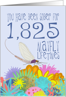 5th Anniversary of Addiction Recovery, in Mayfly Years card