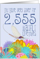 7th Anniversary of Addiction Recovery, in Mayfly Years card