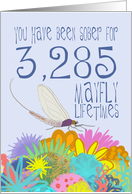 9th Anniversary of Addiction Recovery, in Mayfly Years card