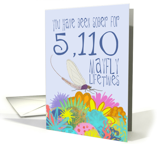 14th Anniversary of Addiction Recovery, in Mayfly Years card (1541860)