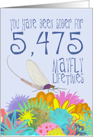 15th Anniversary of Addiction Recovery, in Mayfly Years card