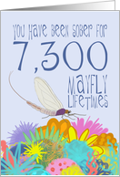 20th Anniversary of Addiction Recovery, in Mayfly Years card