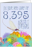 23rd Anniversary of Addiction Recovery, in Mayfly Years card