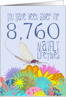 24th Anniversary of Addiction Recovery, in Mayfly Years card